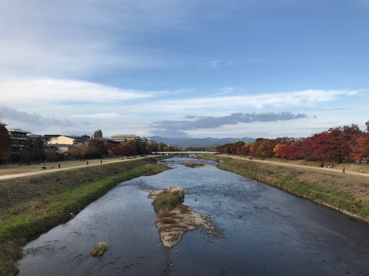 Japan Travel Tips and&nbsp;Recommendations