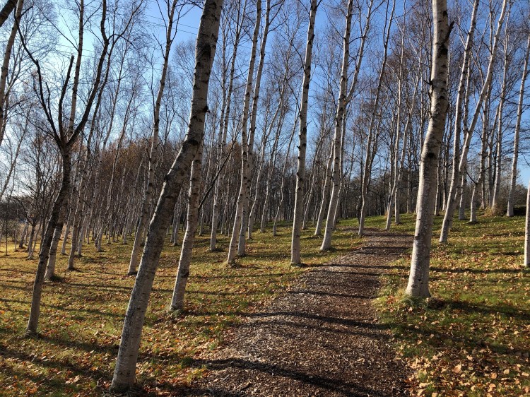 Japan — Hokkaido Region Day&nbsp;4