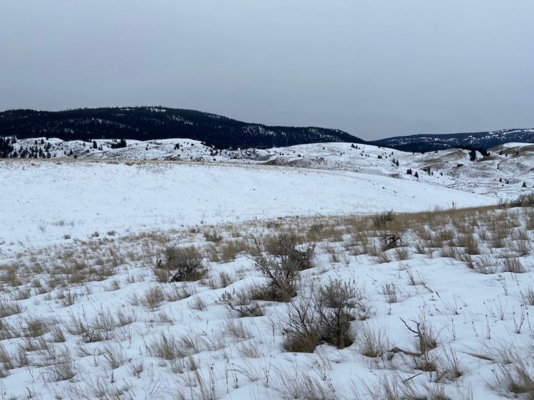 Canada – BC Road Trip Day&nbsp;1