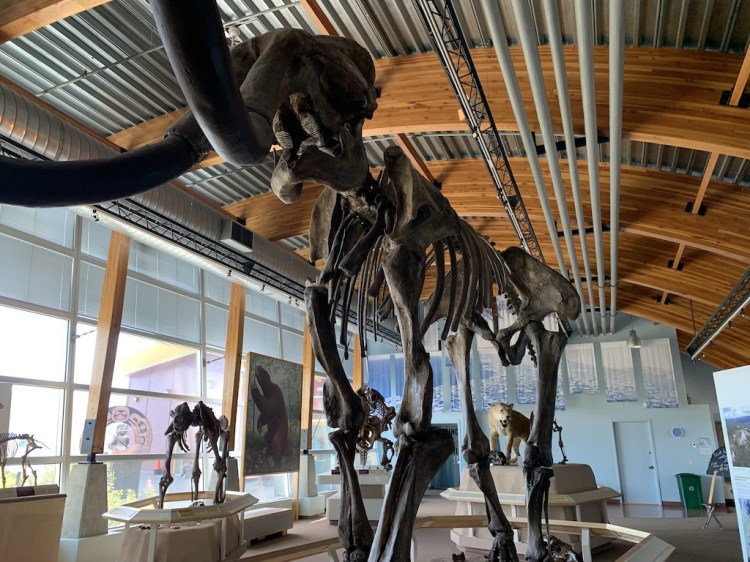 Canada – Whitehorse Day&nbsp;3