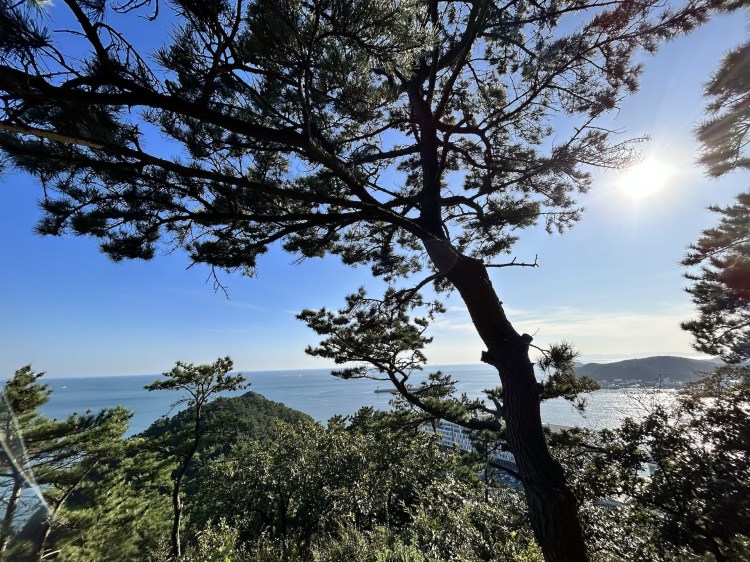 South Korea – Day&nbsp;6