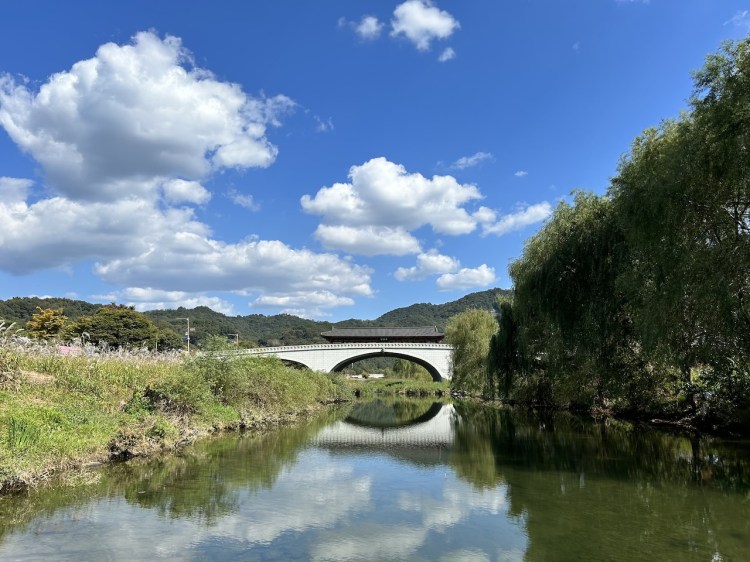 South Korea – Day&nbsp;11