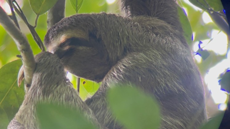 Costa Rica – Day&nbsp;5