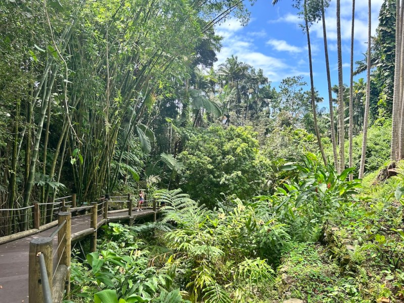 Hawaii – Day&nbsp;8