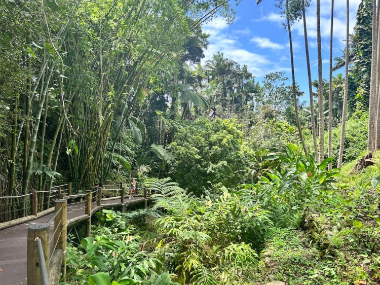 Hawaii – Day&nbsp;8